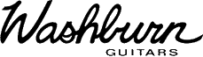 Click here for the official Washburn Guitars website