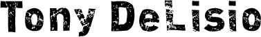 Click here for the official Tony DeLisio website